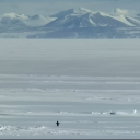 avatar Penguin Tegen Tijd