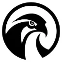 yangfalcon6