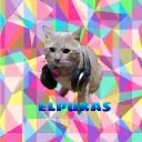 elpukasyt