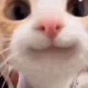 fourzk