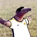 dndcrashed avatar