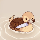 avatar Turtle duck