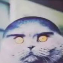 avatar Drip_Chariot