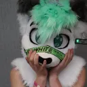 woxels_