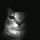 _mtr_