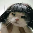 solivalone avatar