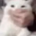 stinizel