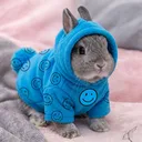 piccaxe