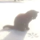 rrezr