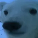 Аватар mandalor1ann