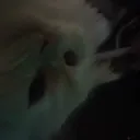 billyzzz_