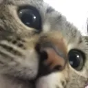 errorsix9 avatar