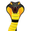 snakezf1