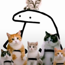 avatar 🌸 MoniGpunkt 🌸