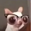 pikmim