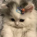 jin._.0827