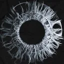naked.singularity