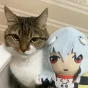 nvrmxrh