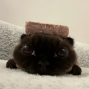 avatar 𝗥𝗲𝗹𝗹𝘆