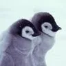 ajdlinux