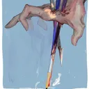 rebingami