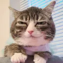 necheloverk2283 avatar