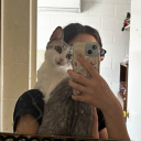 avatar miau