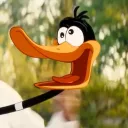darwomingtrosixd
