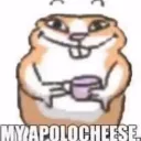 .cheese_