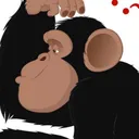 sentinelthemonkey