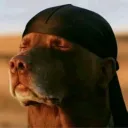 ogjynx.