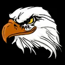 baldeagle3338