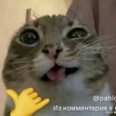 avatar AlexeyThePetrov