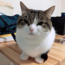 avatar AlexeyThePetrov