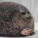 krispyruu