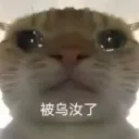 shintsukada1217 avatar