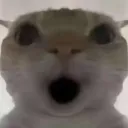 shintsukada1217 avatar