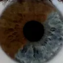 einzzcookie
