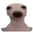 _chinpin_