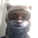 frankfu