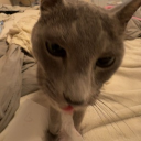 avatar 𝔈𝔪𝔪𝔦