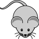 anonymouse02116