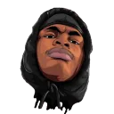 kuda6