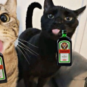 avatar ρяιи¢єss