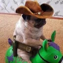 shine_ridden avatar
