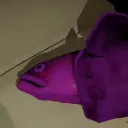 fishr_431
