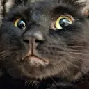 diesel0