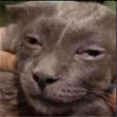 elpolizei#1334's avatar