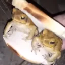 burstwoo