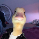 avatar K•I•N•G